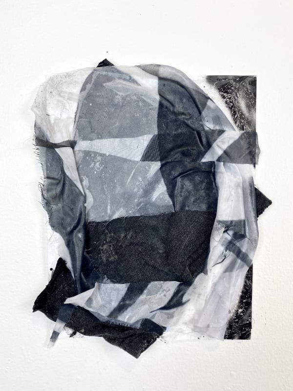 Preston Douglas, Instinct Collision, 2021