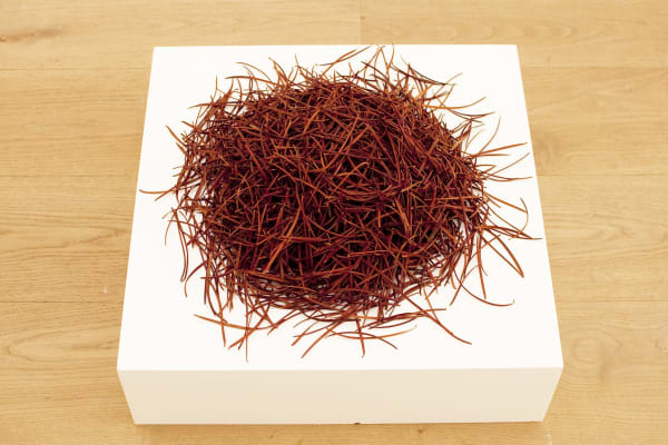 Lise Wulff, Signs of Life (Breath), Version 2, 2013