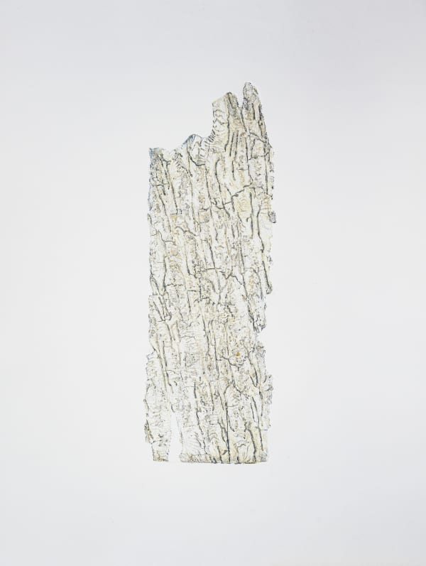 Anna Kubelík, Do you read me II, 2025