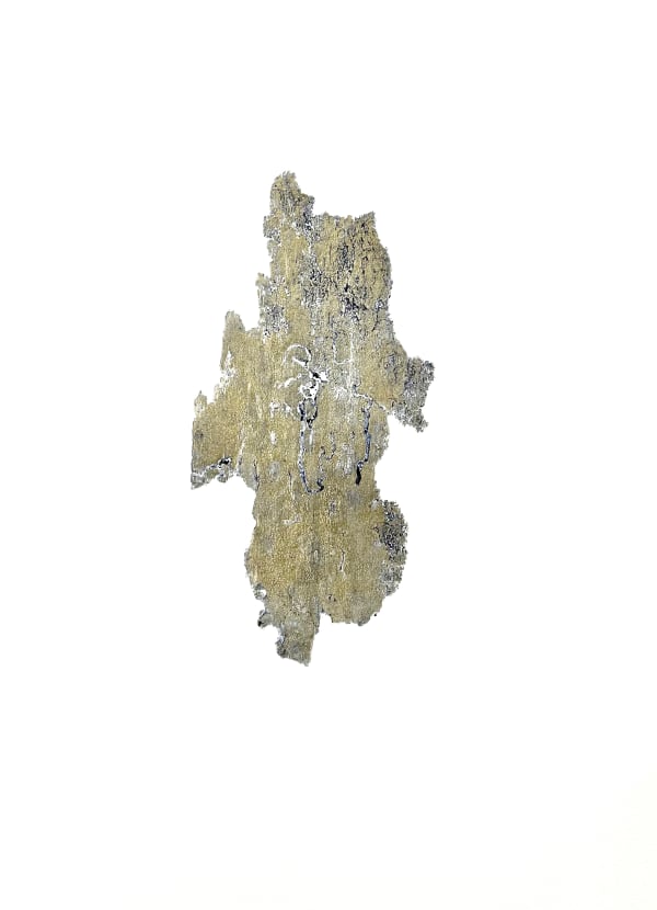 Anna Kubelík, Do you read me V, 2025