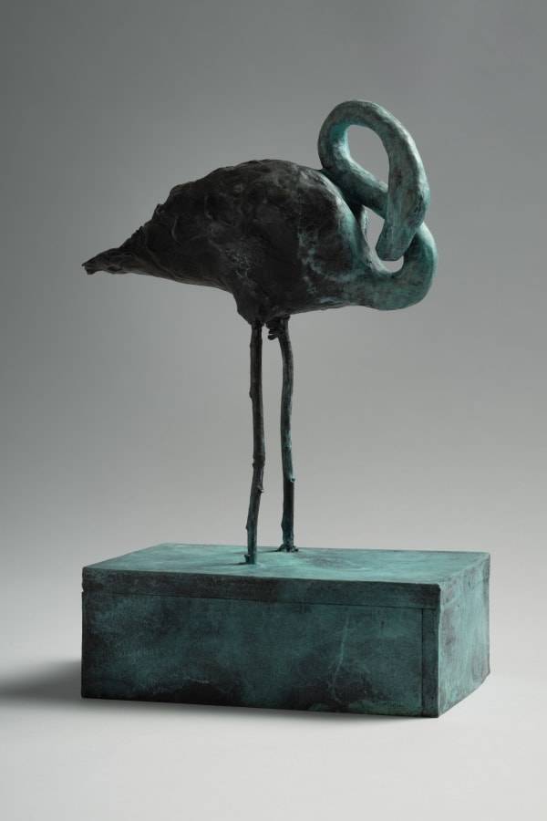 Ruprecht Von Kaufmann, Phoenicopteridae, 2023