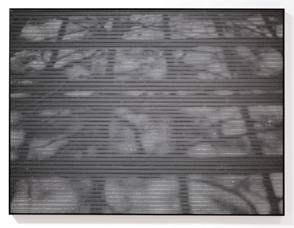 Caroline Jane Harris, Dark Light , 2016