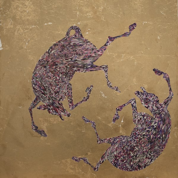 Radhika Agarwala, As The Gentle Beasts Come Into My Paradise, 2012