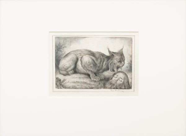 Sverre Malling, Lament of the Lynx, 2025