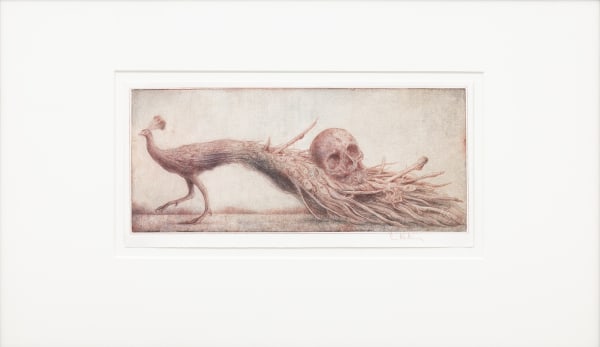 Sverre Malling, Peacock with Skulls and Bones, 2025