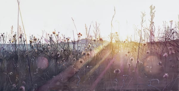 Vibeke Slyngstad, Sønstegård VIII, 2019