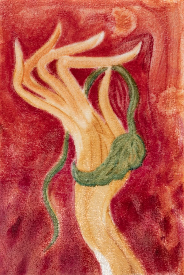 Paula Turmina, hold n.2, 2023