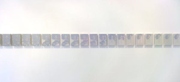 Martine Poppe, Diaphora, 2014