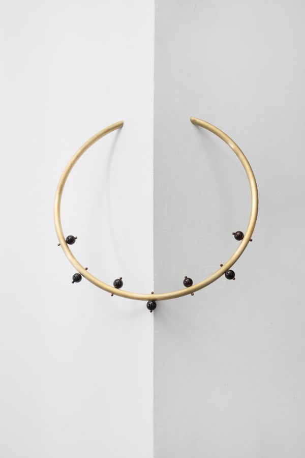 Janet Vollebregt, Piercing Jacuticaba, 2025