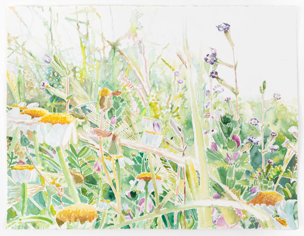 Vibeke Slyngstad, Shuafat 3, 2023