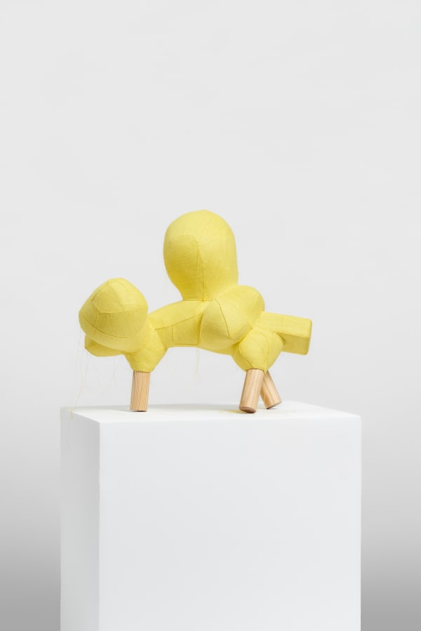 Lauren DiCioccio, Canary in a Coal Mine, 2018