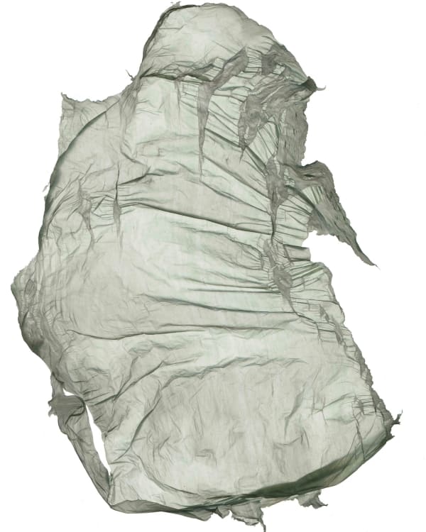 Hector Castells Matutano, Brworm, 2014