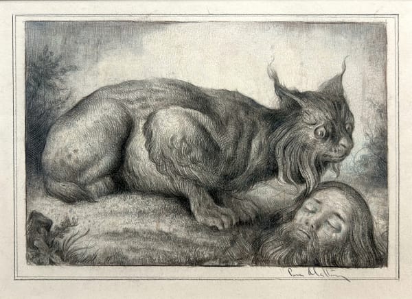 Sverre Malling, Lament of the Lynx, 2025