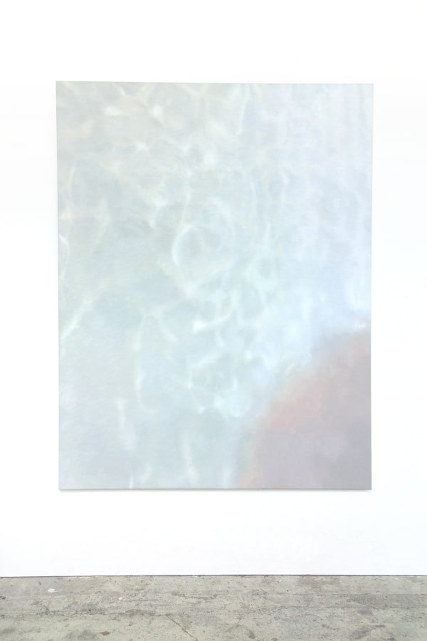 Martine Poppe, Analogical Change (Blooper #2), 2014