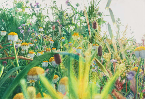 Vibeke Slyngstad, Shuafat VIII, 2020