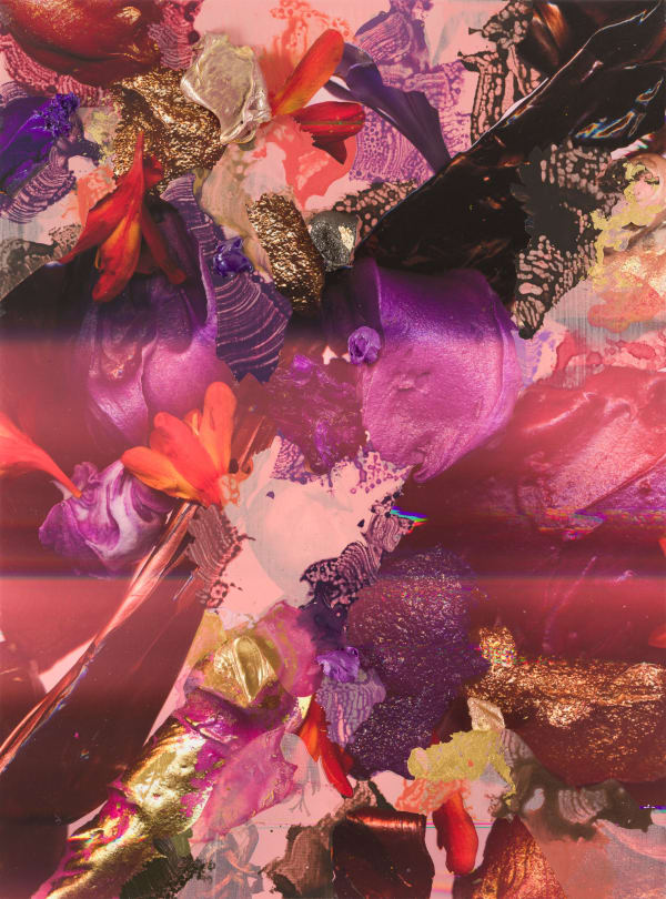 André Hemer, Skyscape/Flora #5 (February 7, 20:02 NZT, New Zealand), 2022