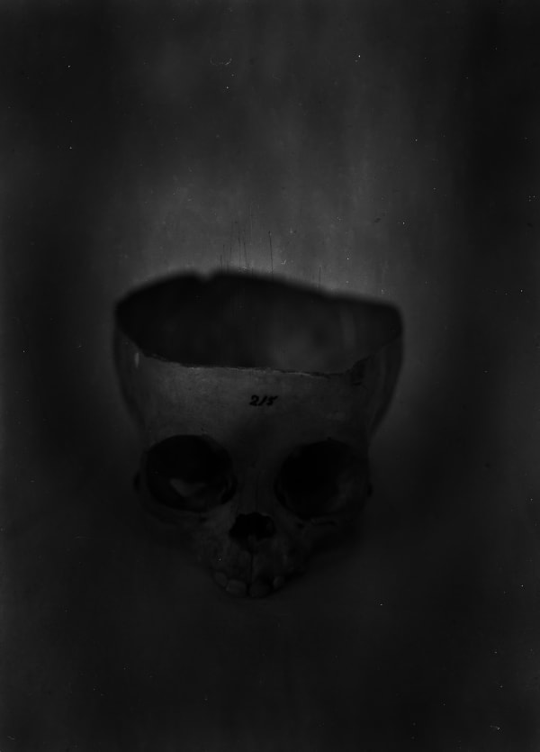 Daniel Malva, #215 - Sequence three , 2015