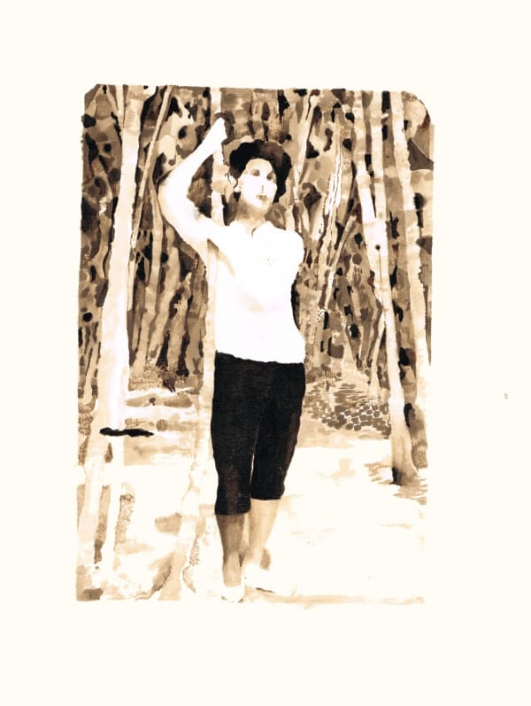 Soheila Sokhanvari, Iran 1960, 2014