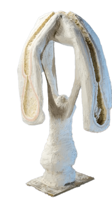 Michael Dohr, Nest 4, 2025