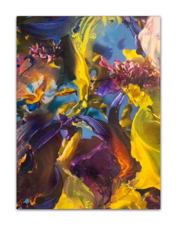 André Hemer, Moving Pictures (Botanics Study Monday, Sicily), 2025