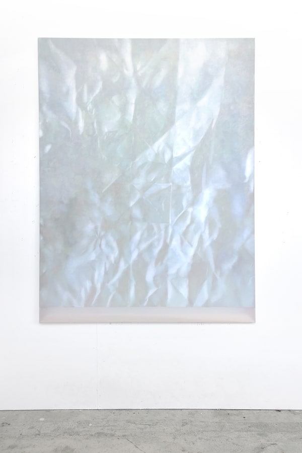 Martine Poppe, Analogical Change #26 (White Whale), 2014