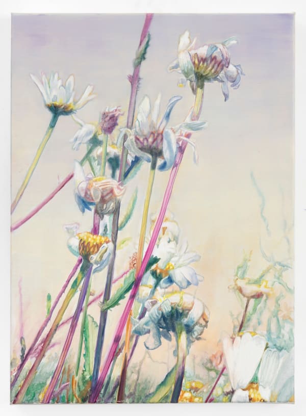 Vibeke Slyngstad, Kjeholmen, 2025