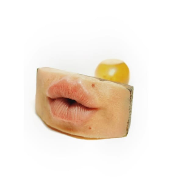 Manuela Benaim, Artists kiss stamp I