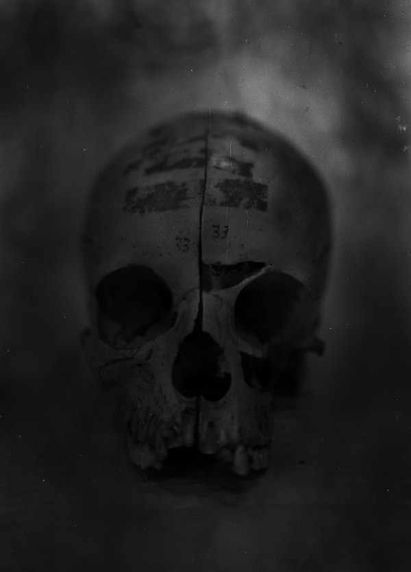 Daniel Malva, #33 - Sequence Seven, 2015