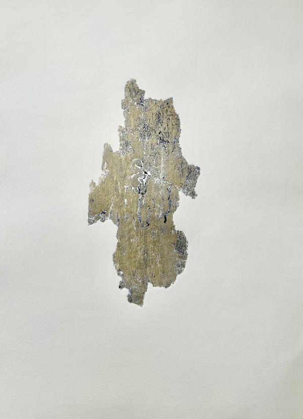 Anna Kubelík, Do you read me V, 2025