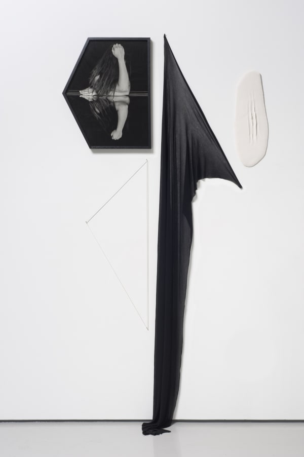 Sheree Hovsepian, Material Gestures (Sister #2), 2012