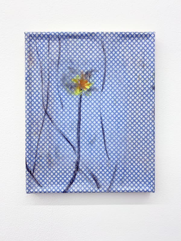 Penelope Kupfer, Saxifrage, 2022