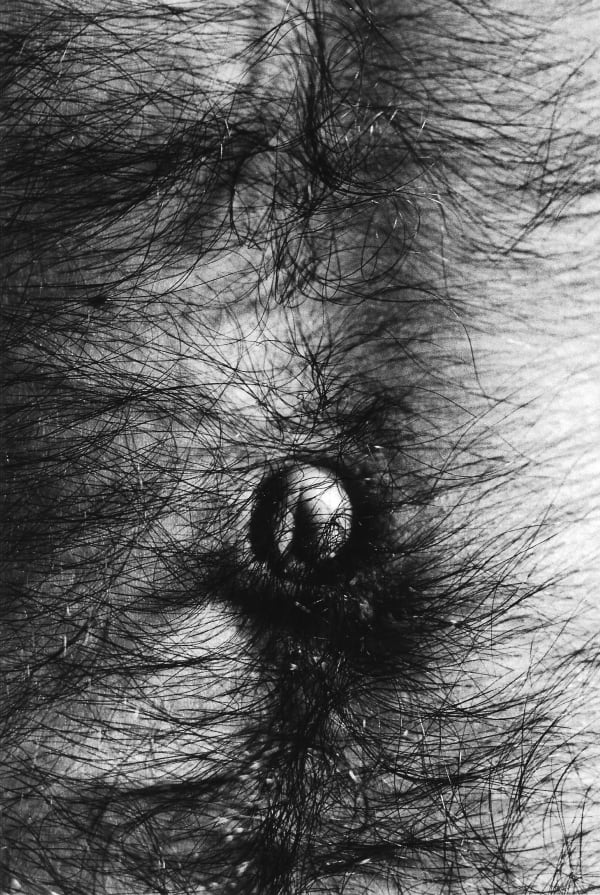 Alair Gomes, Symphony of Erotic Icons #14, 1966 to 1978