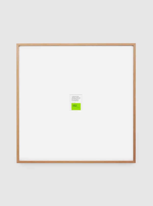 Dani Marcel, Gallery Poll #42, Jack, 2023