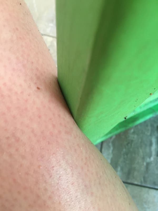 Harriette Meynell, Up Against It, 2022