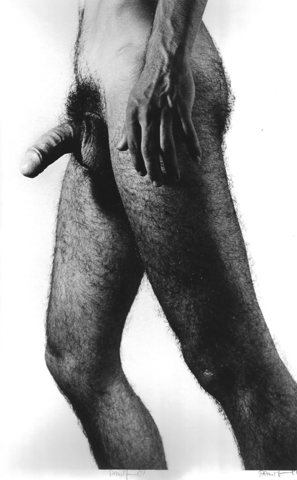 Alair Gomes, Symphony of Erotic Icons #1, 1966 to 1978