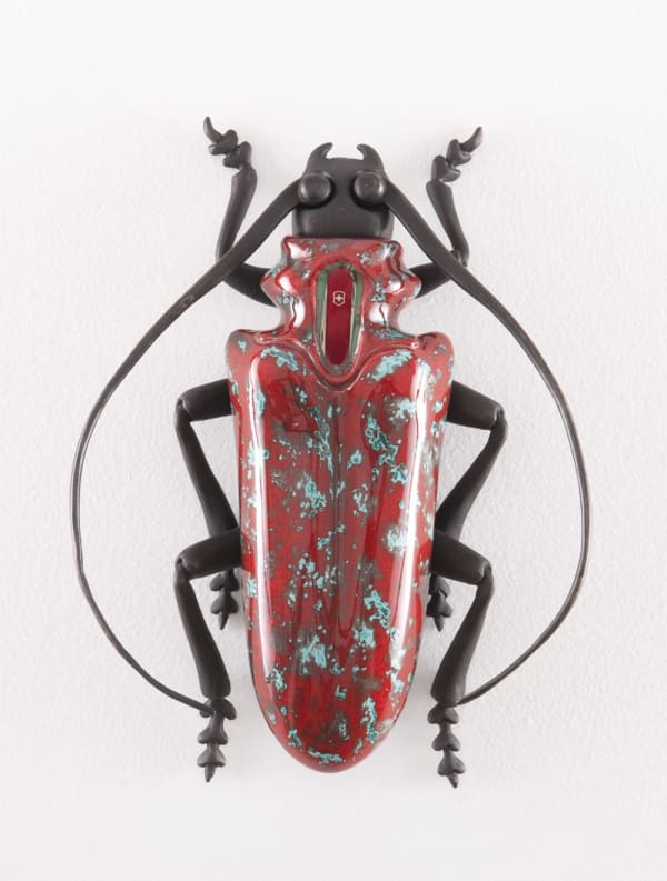 Matteo Pugliese 瑪蒂奧 ‧ 培利思, Cyclommatus Elveticus Ruber , 2012