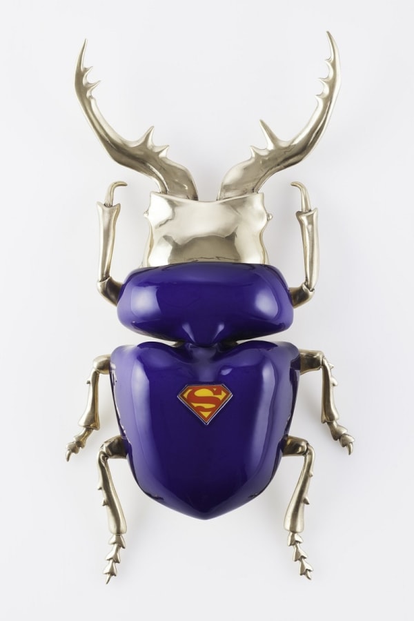 Matteo Pugliese 瑪蒂奧 ‧ 培利思, Allotopus Kal-Eli , 2013
