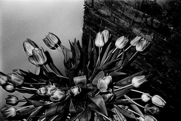 Daido Moriyama 森山大道, Paris《巴黎》, 1989