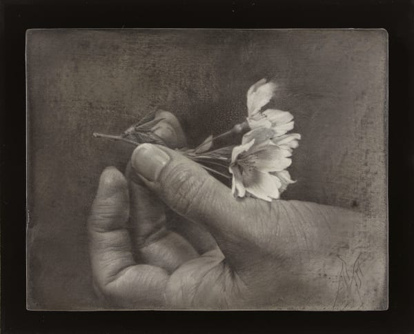Atsushi Suwa 諏訪敦, Cherry Blossoms 《櫻花》, 2012