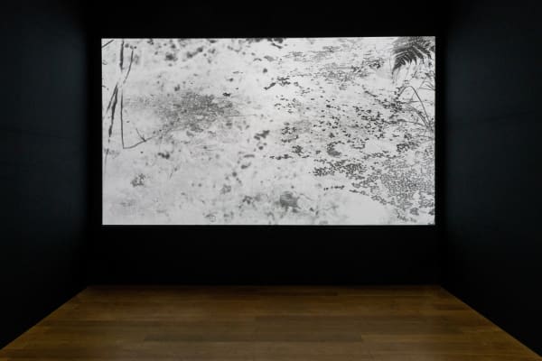 Yulia Mahr, Site (I), 2024