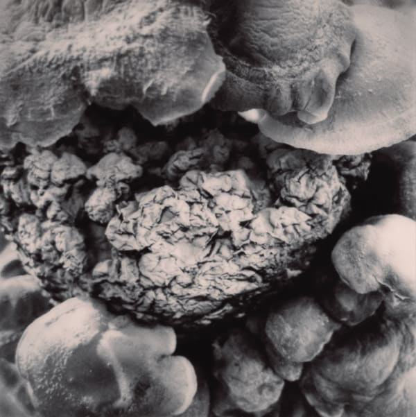 Yulia Mahr, The Fact of Mutability IV (b), 2023