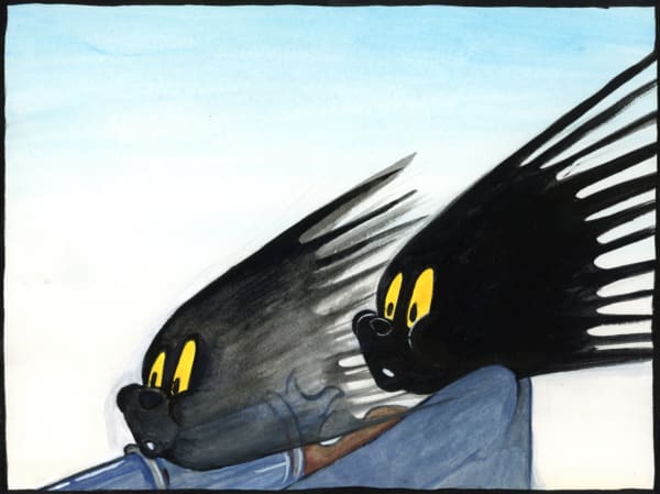 Tae Hwang, World Shooting Sports Champion Takes His Gun To His Grave, 6x8in