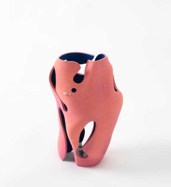 Danyang Song, Wrapped In The Tech Valley