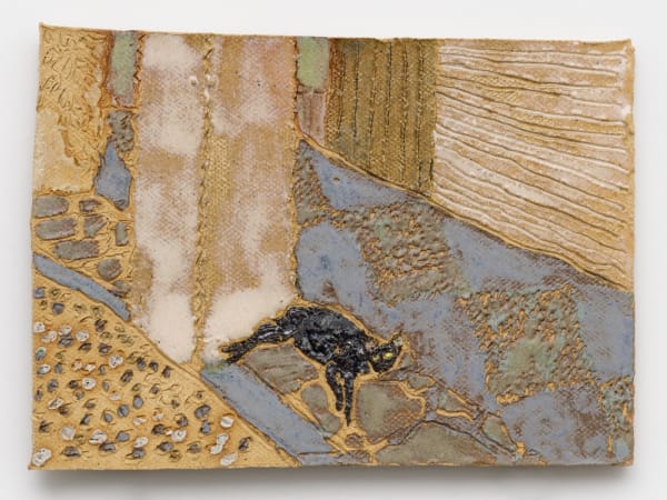 Granada cat on the hottest day of the year