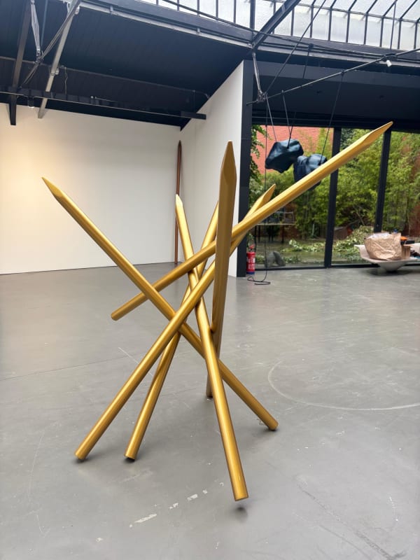 Irina Rasquinet, Mines d'or, 2024