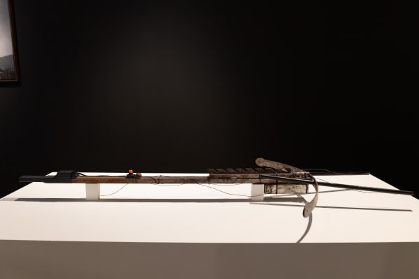 Marie-Luce Nadal, Arbalète Madeleine, 2014