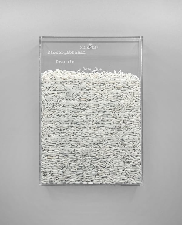 Trong Gia Nguyen, Stoker: Dracula (first chapter, 5725 words), 2021