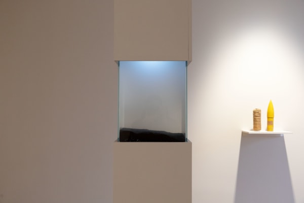 Marie-Luce Nadal, Vie d'ailleurs, 2022