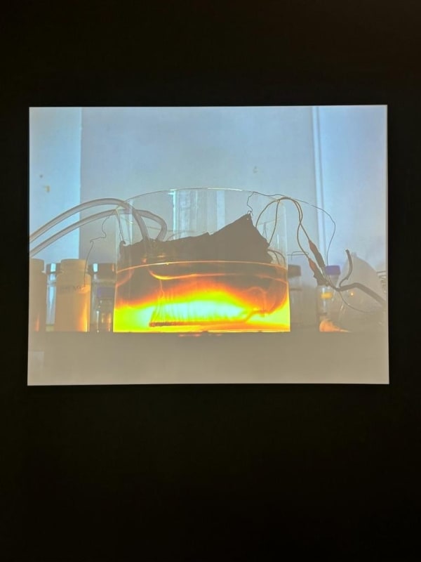 Marie-Luce Nadal, Rodeille, for an introduction, 2015