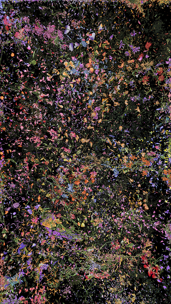 Jennifer Steinkamp, Botanic, 4, still frame 22, 2016